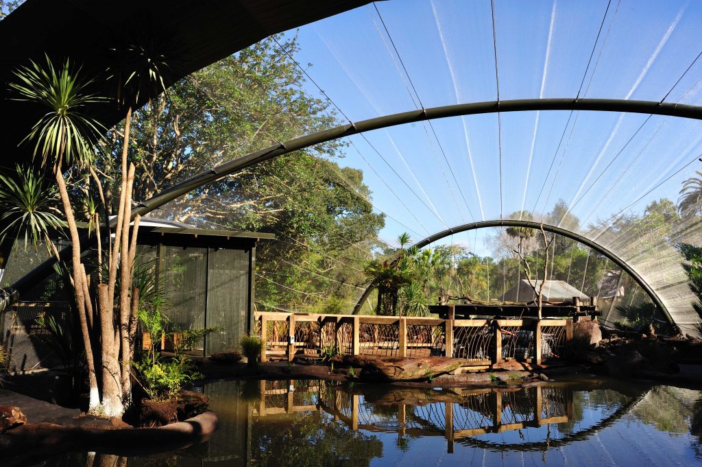 Auckland Zoo Te Wao Nui NZ Strong