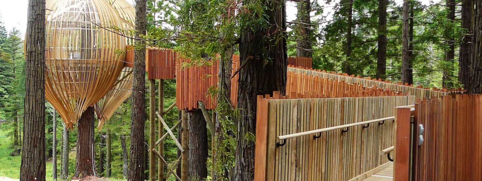 Treehouse-Daytime-with-walkway